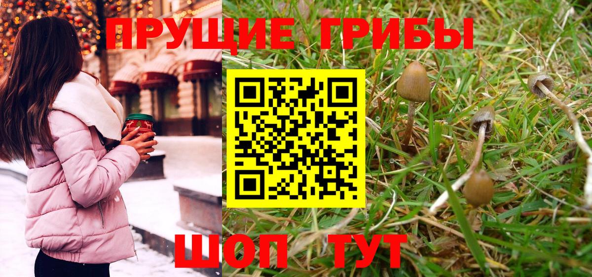 Галлюциногенные грибы Cubensis  Вход с VPN  Галлюциногенные грибы Psilocybe  Курган 
